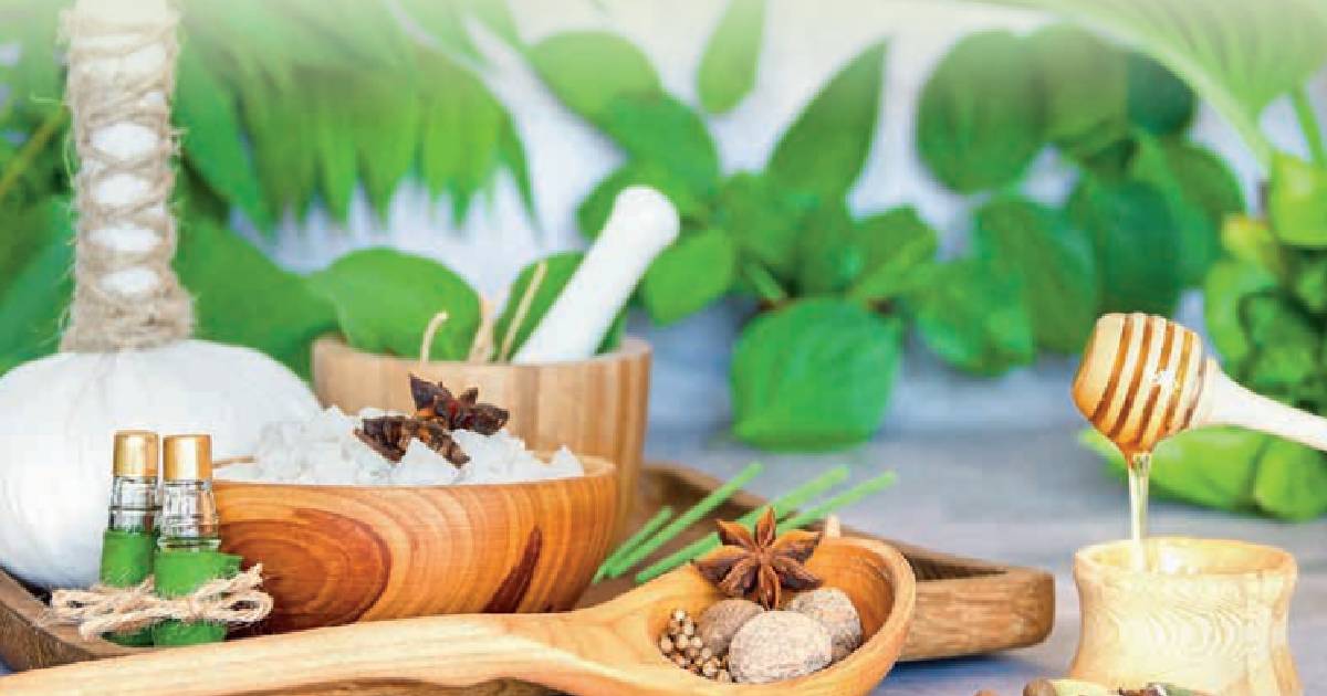 Traditional Indian Medicine can Treat Type 2 DIABETES